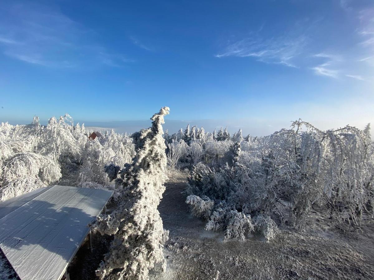 Lugsteinhof Hotel Altenberg
